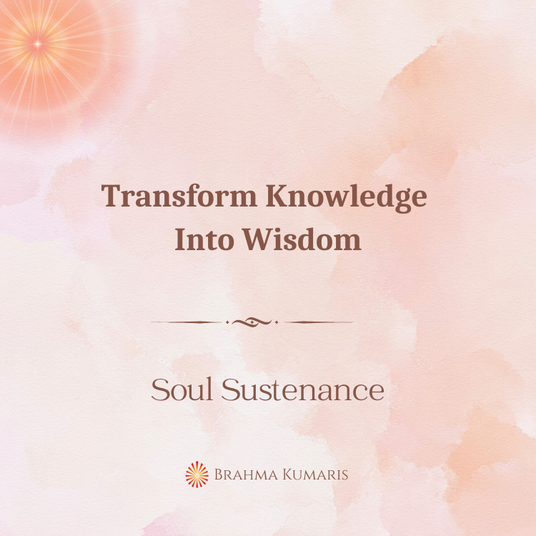 Transform knowledge into wisdom